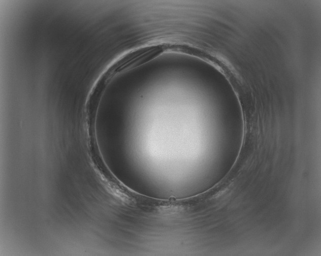 X0000070821118200606191215