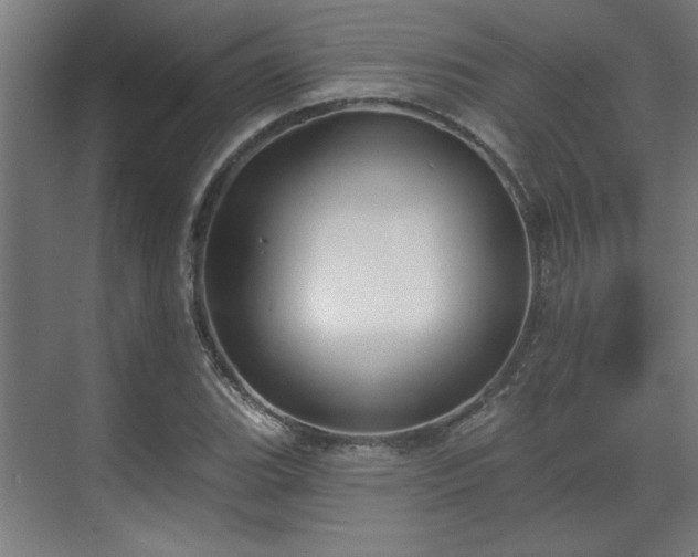 X0000070821119200606191215