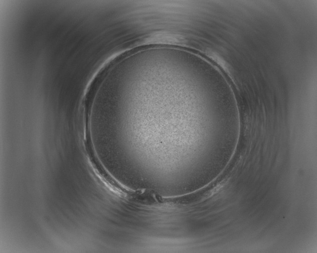X0000070821123200606191215