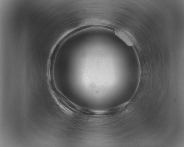 X0000070821128200606191215