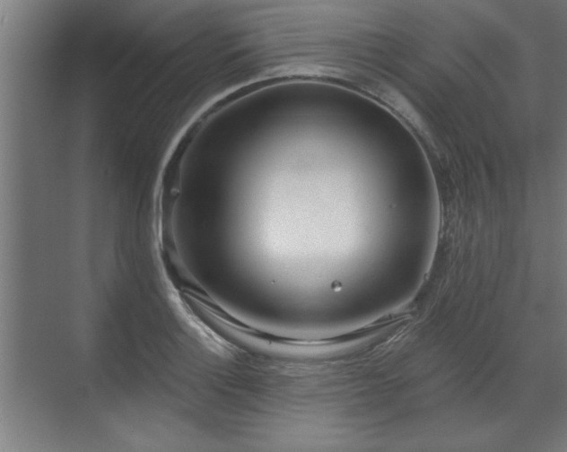 X0000070821132200606191215
