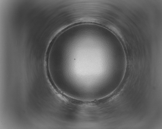 X0000070821133200606191215