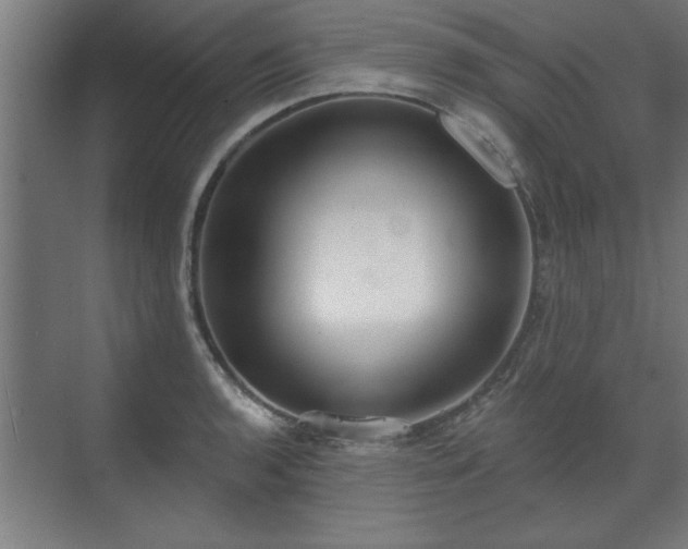 X0000070821136200606191215