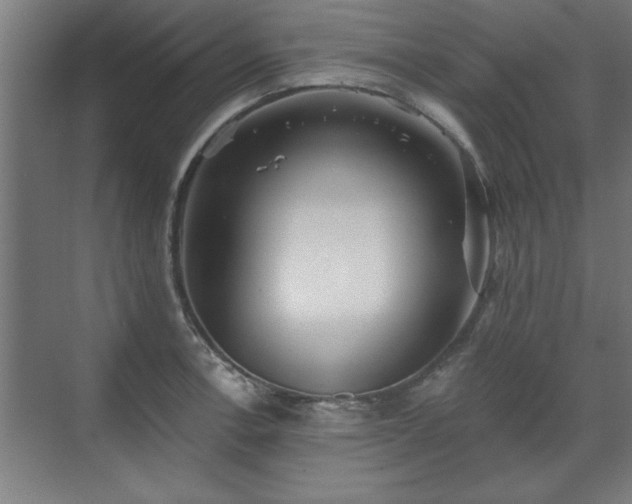 X0000070821138200606191215