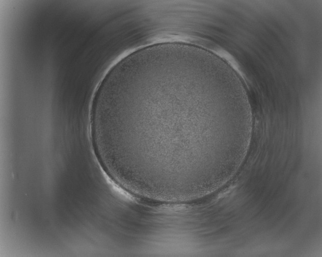 X0000070821143200606191215
