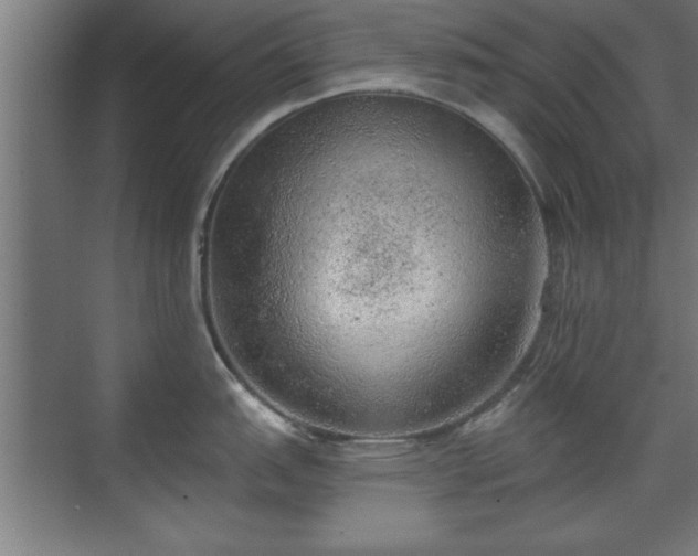 X0000070821151200606191216