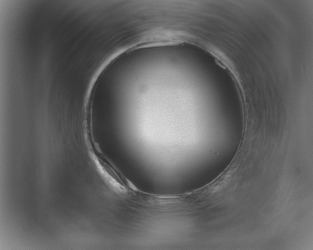 X0000070821152200606191216