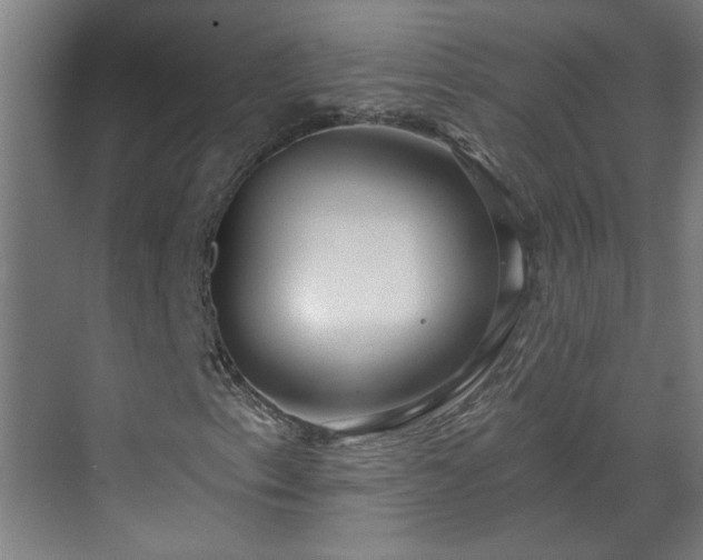 X0000070821153200606191215