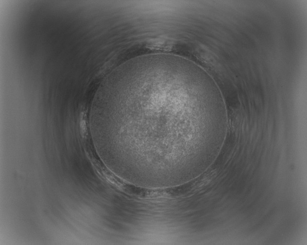 X0000070821154200606191215