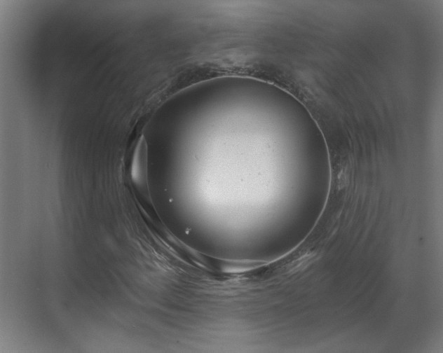 X0000070821156200606191215