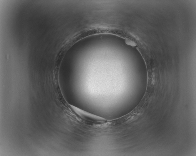 X0000070821157200606191215