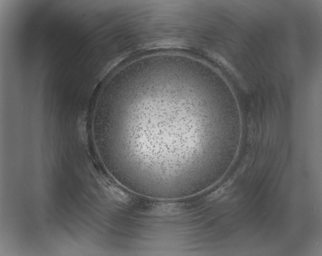 X0000070821162200606191215