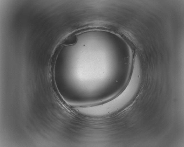 X0000070821164200606191215