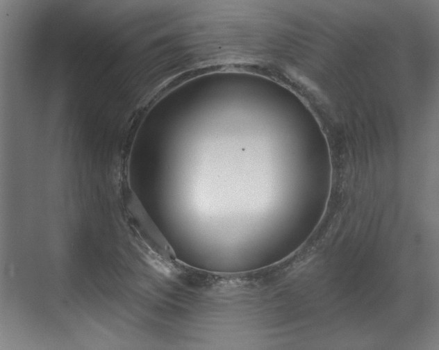X0000070821169200606191215
