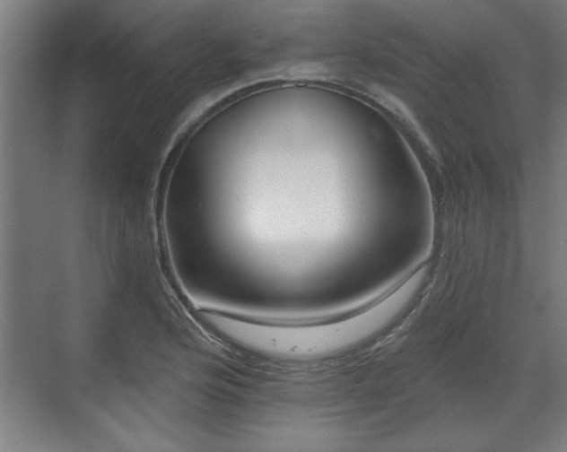 X0000070821176200606191214
