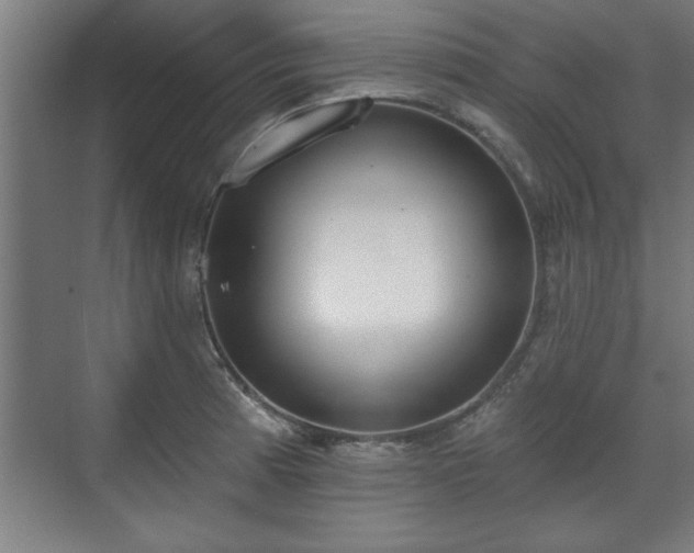 X0000070821185200606191214