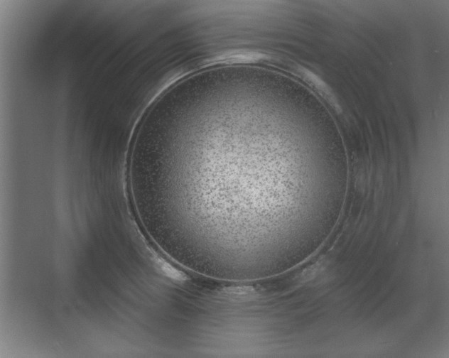 X0000070821186200606191214