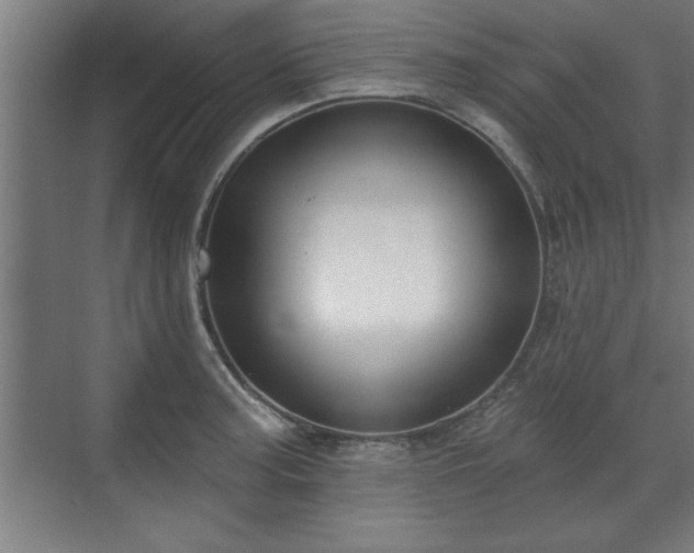 X0000070821187200606191214