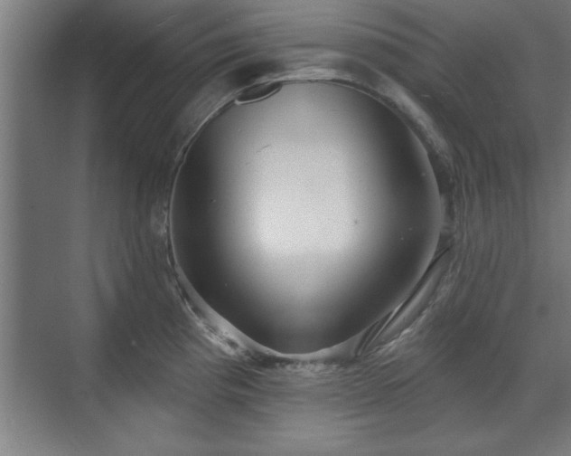 X0000070821193200606191214