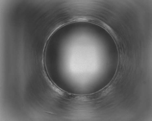 X0000070821194200606191214