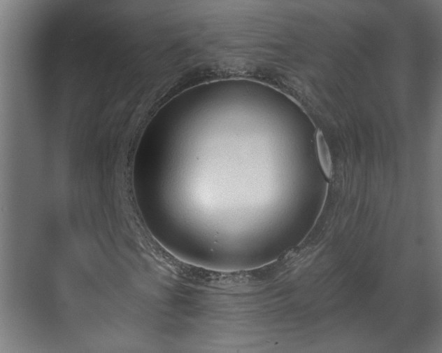 X0000070821201200606191213