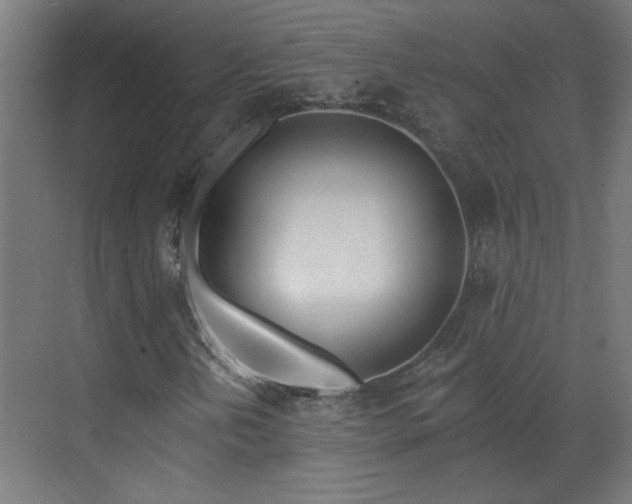 X0000070821202200606191213