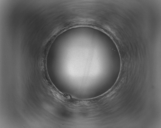 X0000070821211200606191213