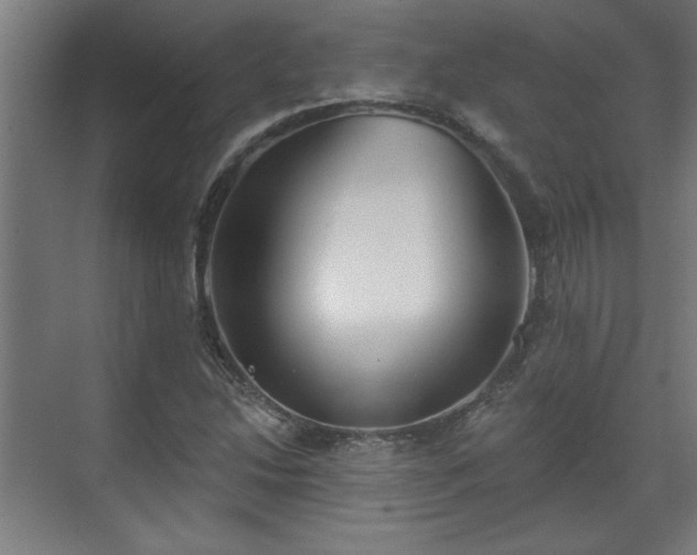 X0000070821214200606191213