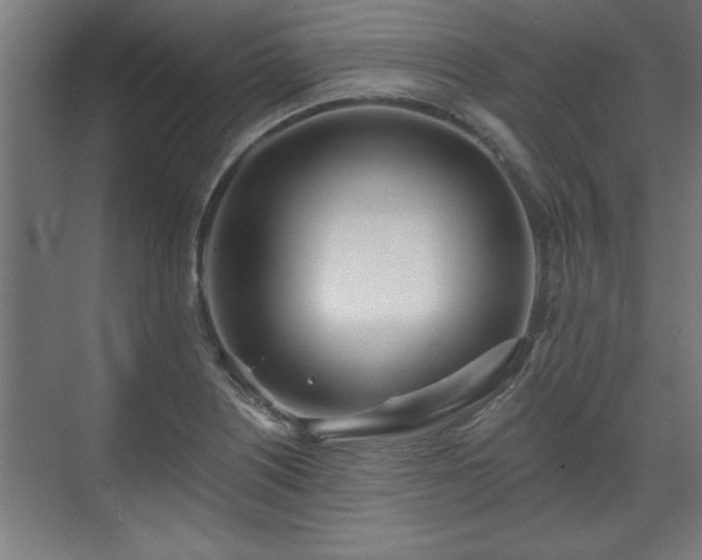 X0000070821226200606191214