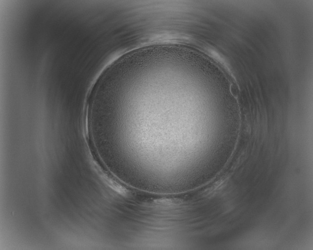 X0000070821227200606191214
