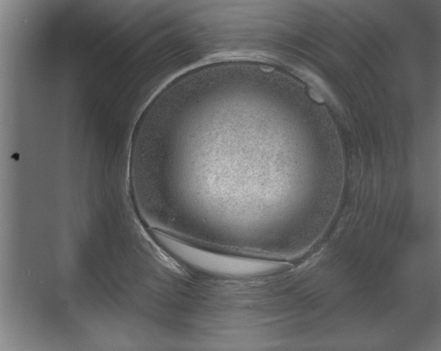 X0000070821228200606191214