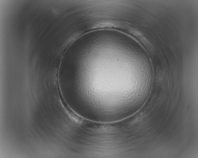 X0000070821233200606191214