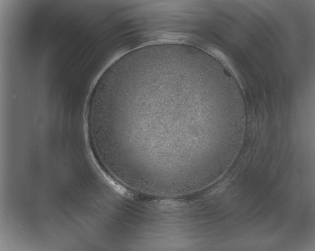 X0000070821235200606191214