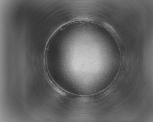 X0000070821236200606191214