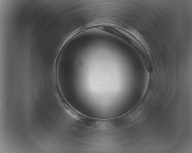 X0000070821242200606191214