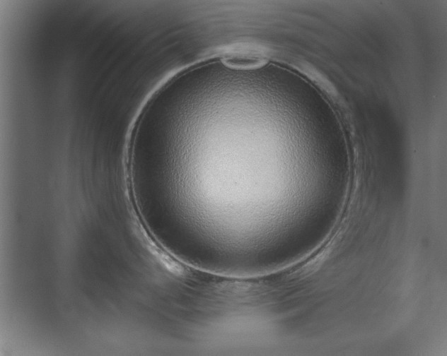 X0000070821248200606191214
