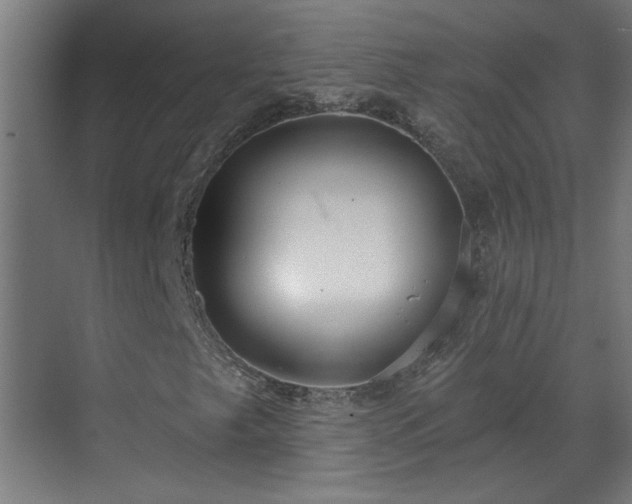 X0000070821249200606191213