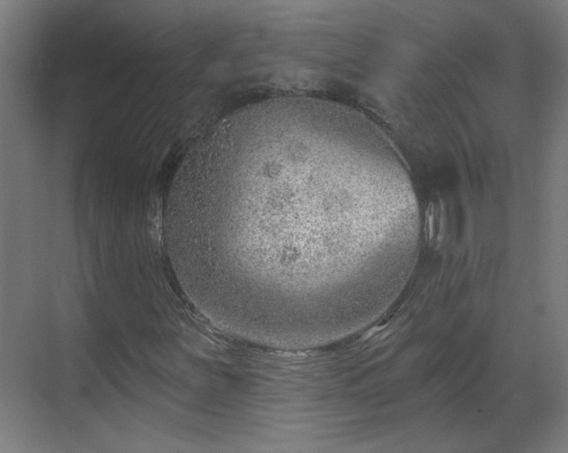 X0000070821251200606191213