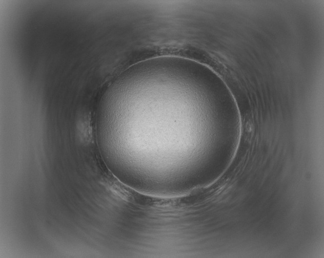 X0000070821252200606191213