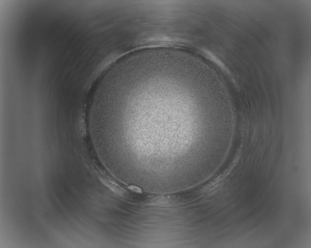 X0000070821259200606191213