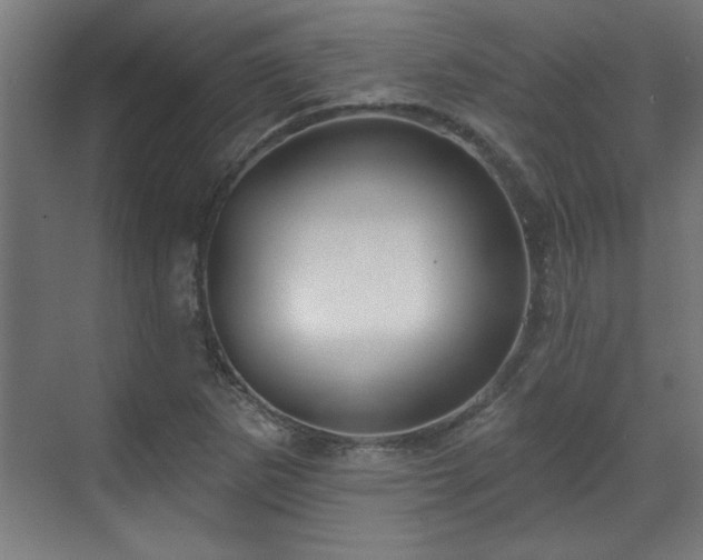 X0000070821265200606191213