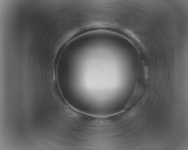 X0000070821269200606191213