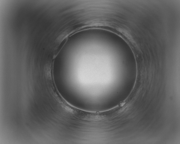 X0000070821273200606191213