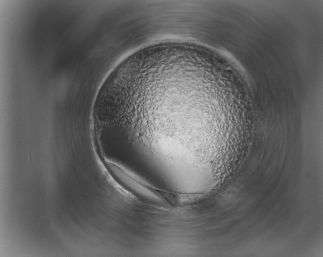 X0000070821287200606191213