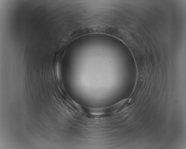 X0000070821298200606191212