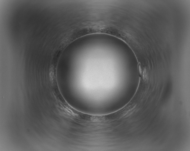 X0000070821299200606191212