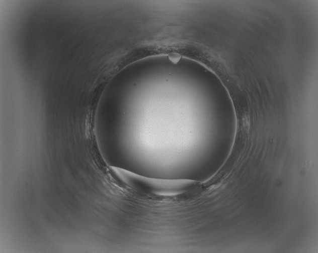X0000070821300200606191212