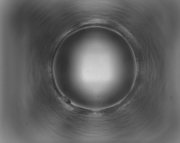 X0000070821321200606191212