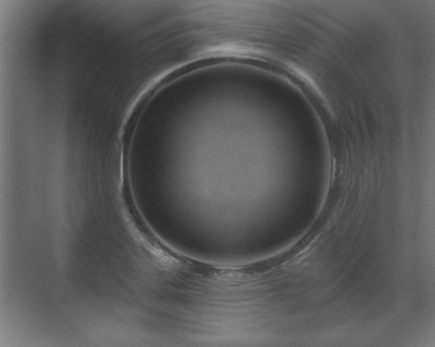 X0000070821323200606191212