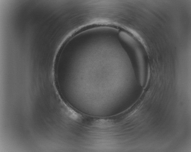 X0000070821327200606191212